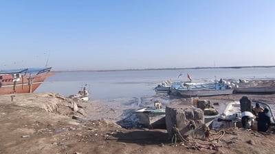 الخليج يصبح دافئاً ويعيد بحارة العراق الى الصيد… الأسعار في مزاد الفاو