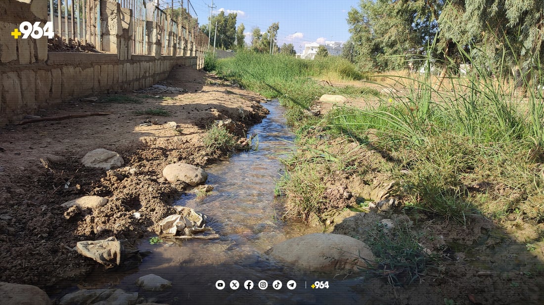 10 ساڵە بۆریی ئاوی چەمچەماڵ لە شکان نەکەوتووە