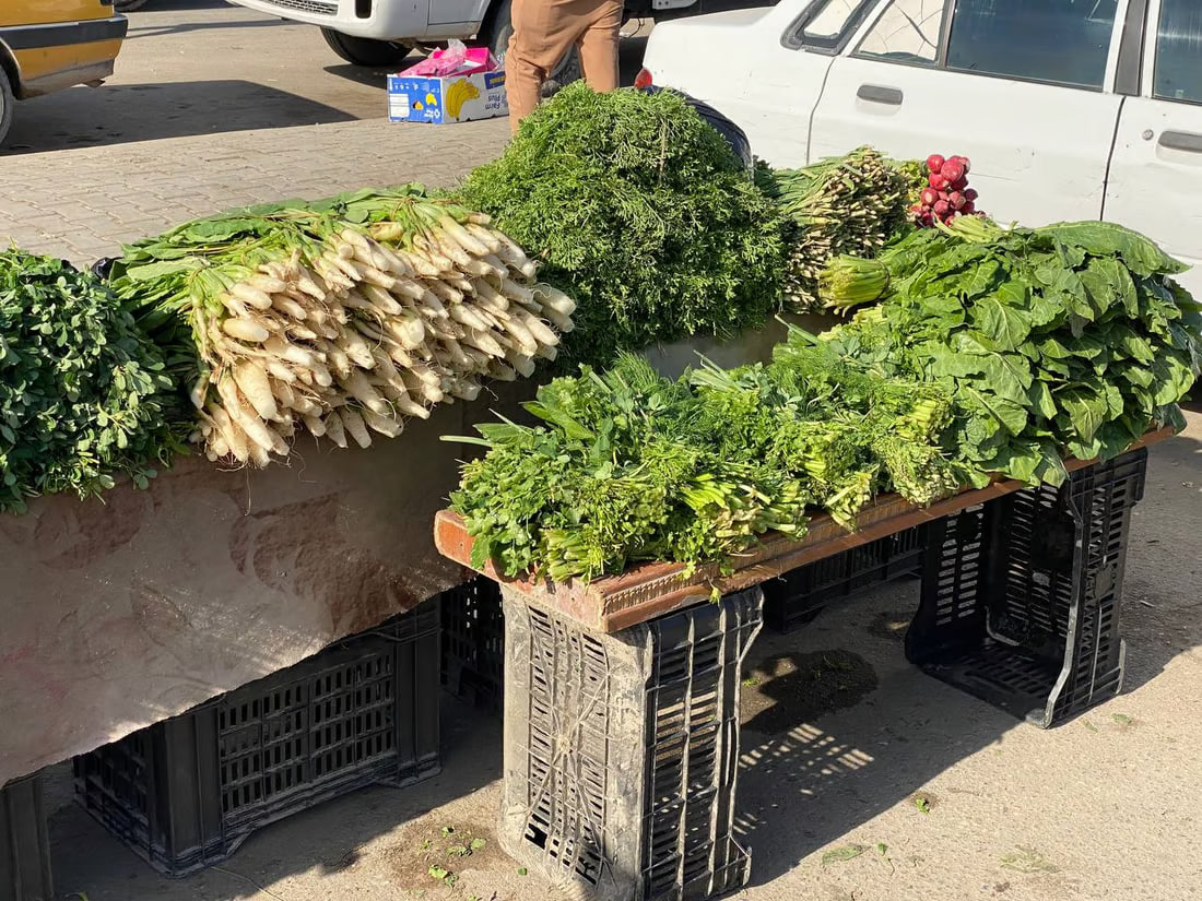 Prices for fruit, vegetables, drop in Basra markets