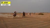 القائم: خيالة الانبار يرقصون الجوبي في مهرجان الخيل وا