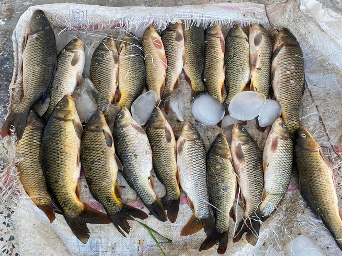 ئه‌مڕۆش 10 تۆڕ پووچه‌ڵ كرانه‌وه‌