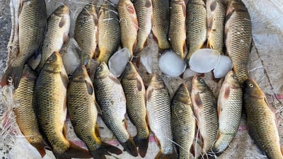 ئه‌مڕۆش 10 تۆڕ پووچه‌ڵ كرانه‌وه‌