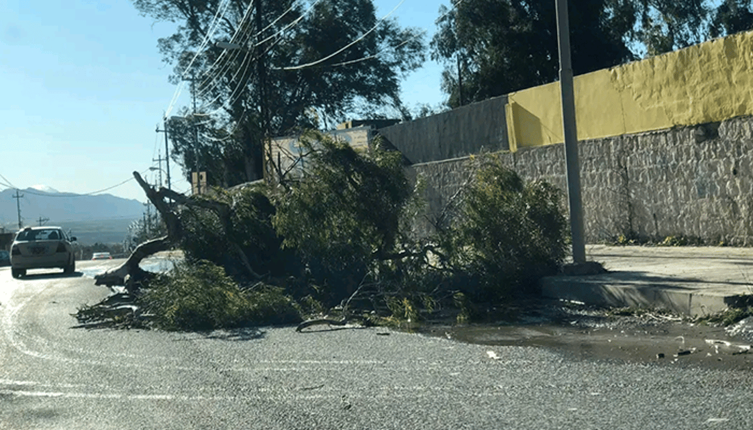 شارەوانی کۆیە مەرجی هەیە بۆ چاککردنەوەی ئەو کەپرانەی رەشەبا تێکیداون
