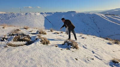 لەناو بەفر پەیامنێری 964 دانی برد بۆ باڵندەکان
