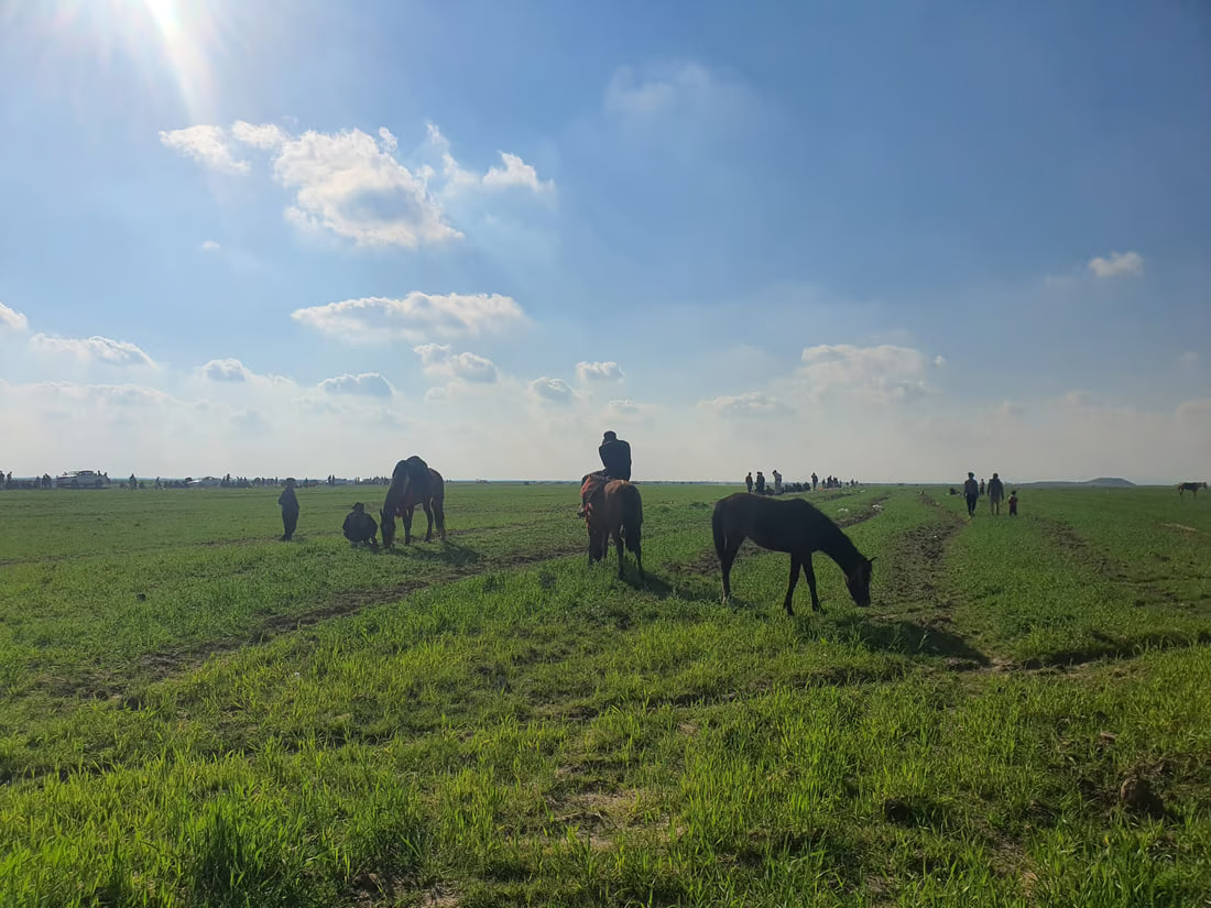 Tal Afar agriculture department urges preservation of farmlands