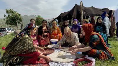 فێستیڤاڵ و گەشتی بەهارەیە