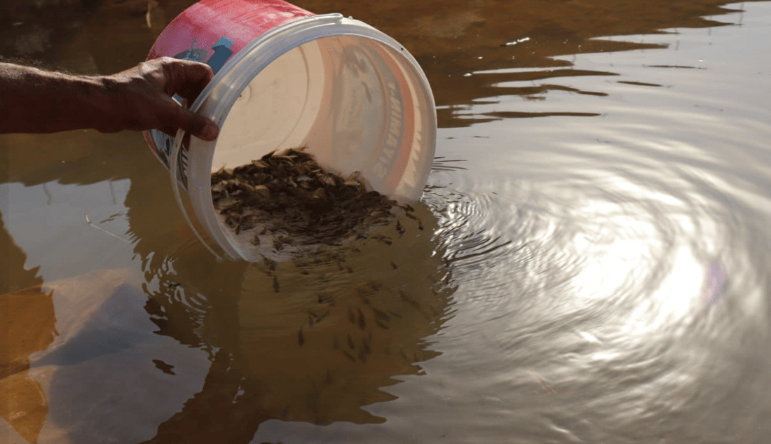 35 هەزار پەنجەماسی خرایە پۆندی پریس