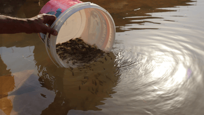 35 هەزار پەنجەماسی خرایە پۆندی پریس