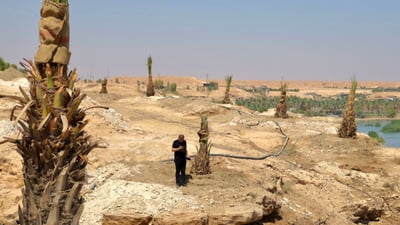 صور: شلال البغدادي الساحر يهدر من الصخور لكن نخلة الزهدي نبتت فيه