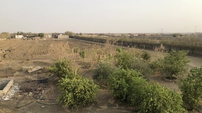 قُتل بـ3 رصاصات داخل مزرعته.. العثور على جثة صاحب مصفاة أهلية في كركوك