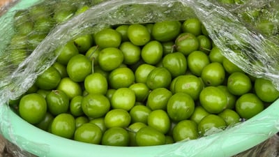 کیلۆیەک هەڵوژە لە 500 دۆلارەوە بووەتە 12,500 دینار