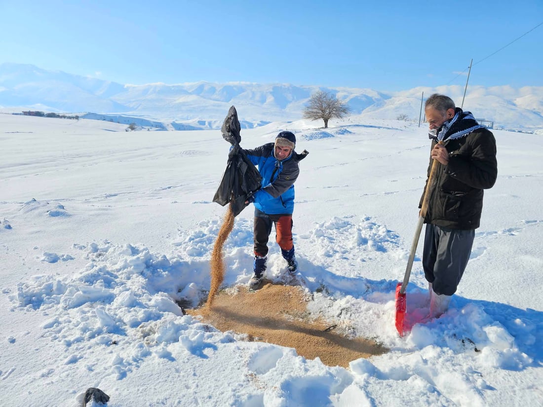 قەڵادزێ؛ سفرەیەکى پڕ لە خۆراک بۆ ئاژەڵ و باڵندەکان رادەخات