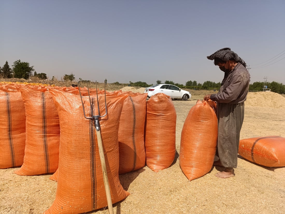 سووتاندنى جاره‌ گه‌نمه‌كان نرخى “كا”ـی به‌رزكرده‌وه‌