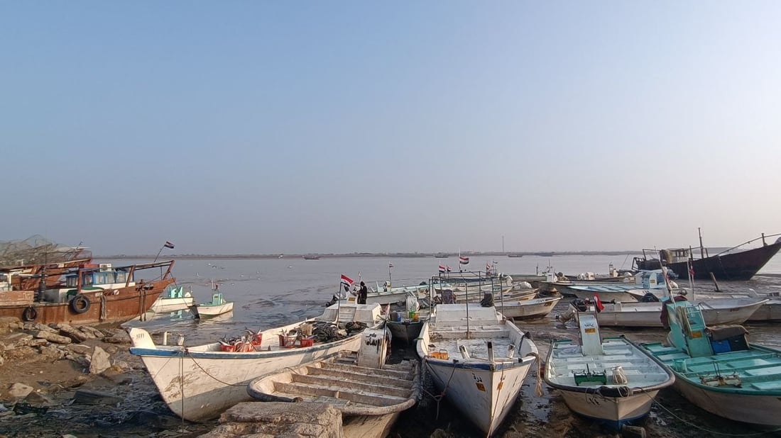 صور من مرسى النقعة: قائمة بأصناف الأسماك وأسعارها في مزاد الفاو الجمعة