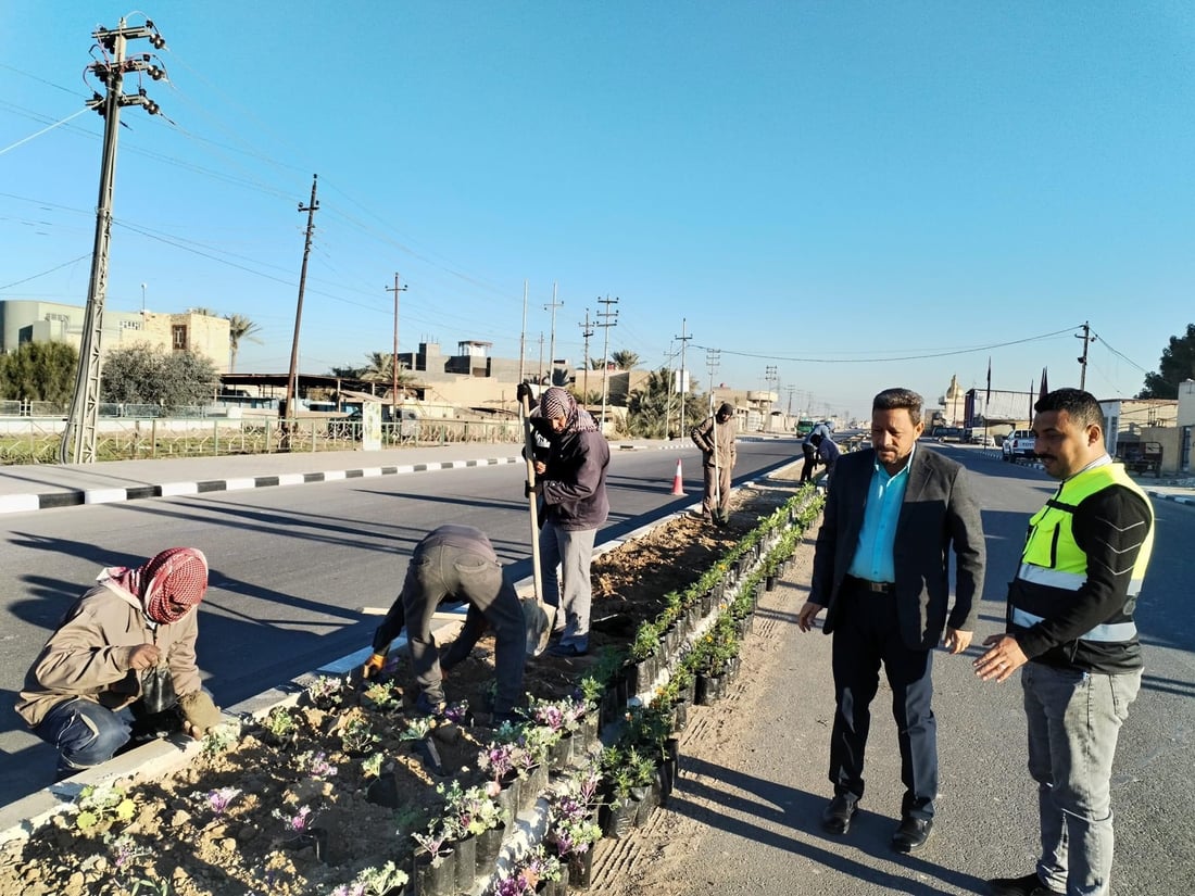 المشخاب تدعو أهلها للمشاركة في زراعة طريق القادسية.. أشجار أكاسيا بين الأقحوان