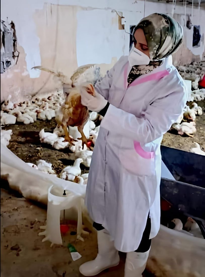 خورماتوور هه‌ڵمه‌تێكی ده‌ستپێكردووه‌ بۆ سەلامەتی ئاژه‌ڵ و باڵنده‌ و مرۆڤه‌كان