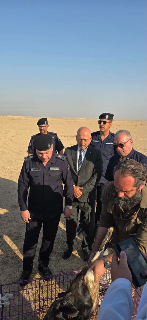 ضبط نسور نادرة في سوق الغزل وإطلاقها في سماء الأنبار (فيديو)
