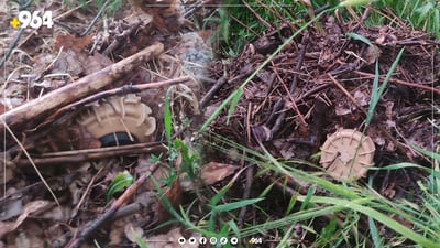 گۆڕانی کەشوهەوا دوو مینی دیکەی خستە سەرزەوی