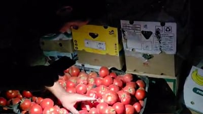 كاسبكارانى عه‌لوه‌ى كه‌لار بە لایتی مۆبایلەکانیان بەرھەمەکانیان دەفرۆشن