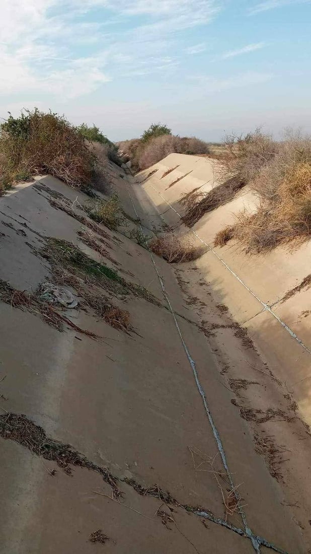 ليس لدينا وقت فالحنطة في خطر ونحتاج الرية الثانية فوراً.. نداءات من حقول جنوب واسط