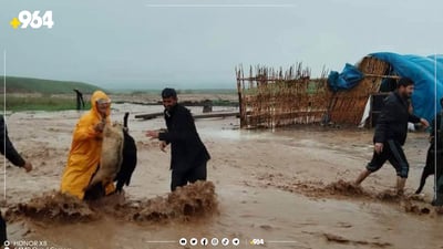 لافاو پڕۆژەیەکی بەخێوکردنی ئاژەڵی برد