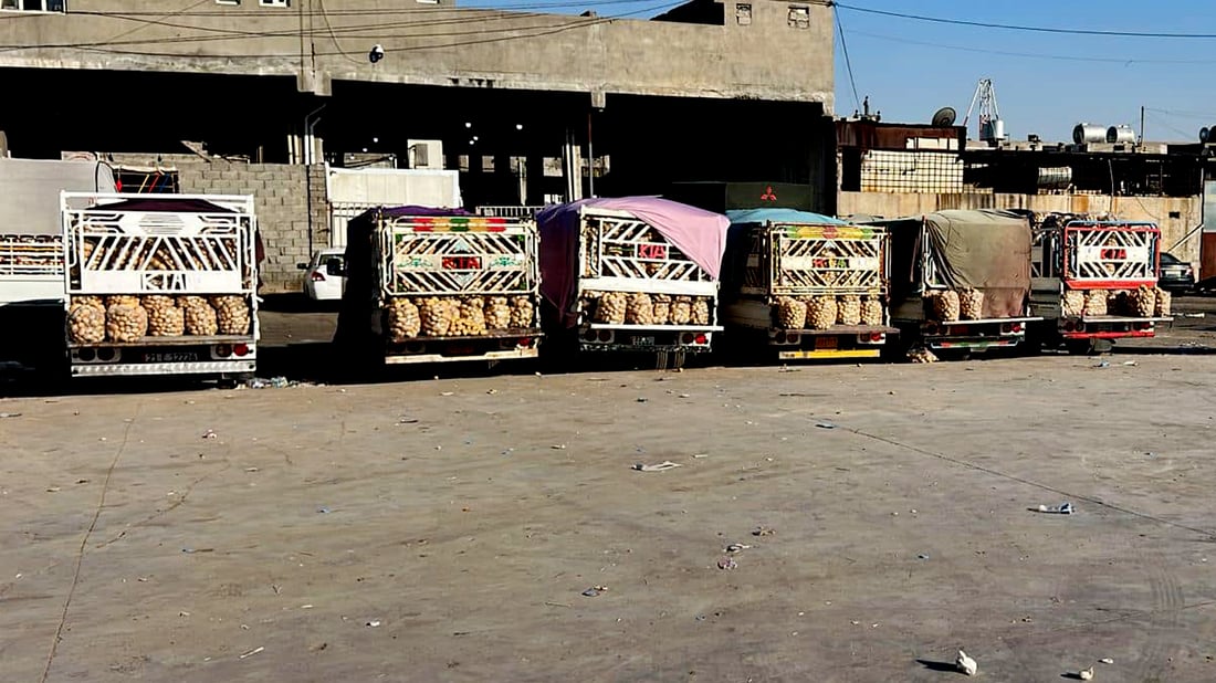 پەتاتە، پیاز، شووتی، گندۆرە، خیار و تەماتەى هه‌ولێر ره‌وانه‌ى ده‌ره‌وه‌ كرا