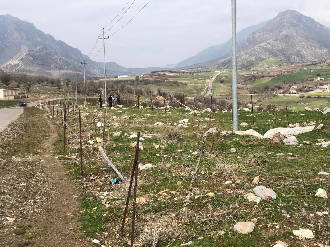 شارەوانیى گاپیڵۆن نەمامەکانى خۆشدەوێت و بە سیاج دەیانپارێزێت