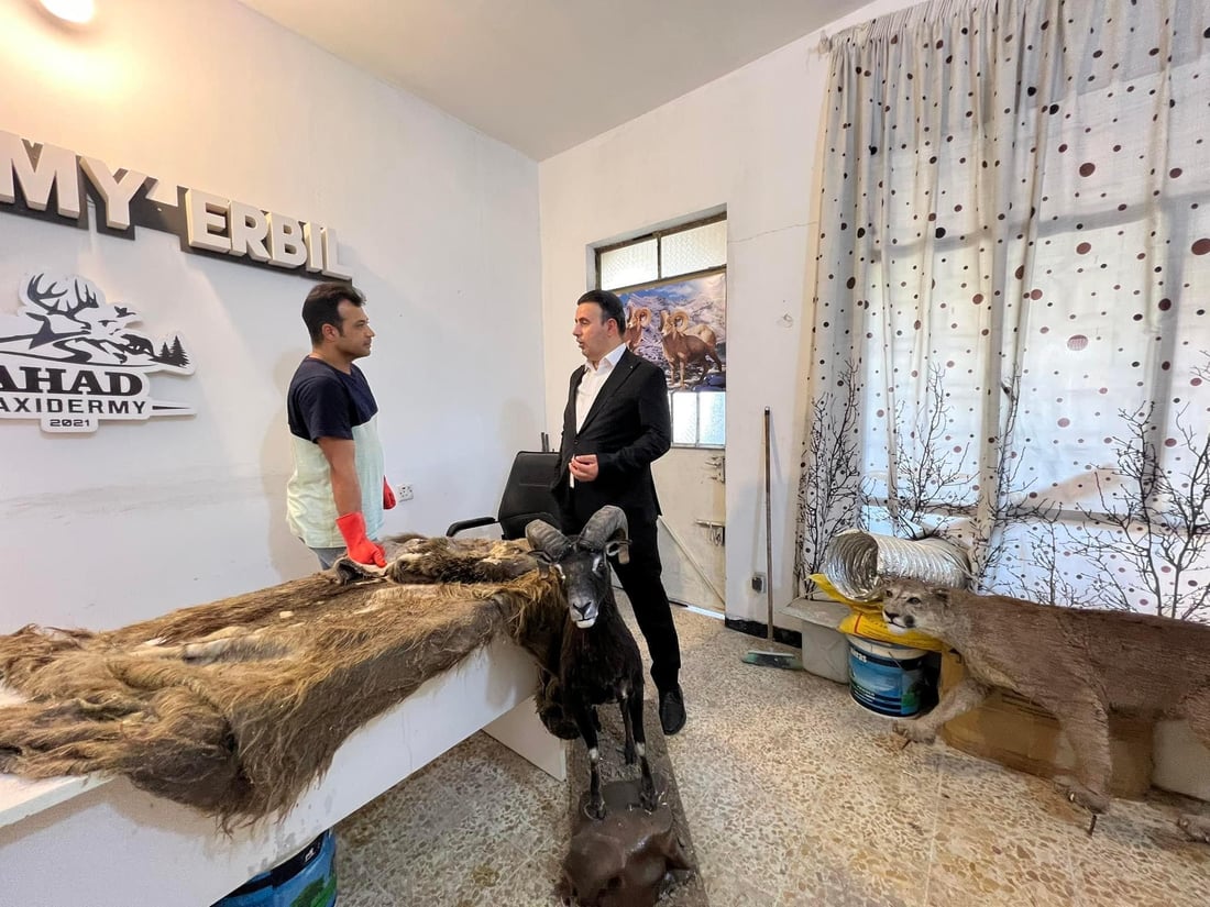 Balakayati bear preserved for display in Soran’s national park following shooting