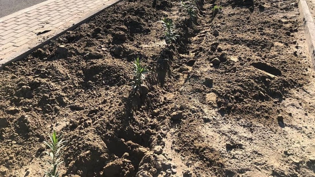 أهالي “حي الجهاد” ليسوا معجبين بخطة البلدية: تركت المكبات وراحت تزرع!