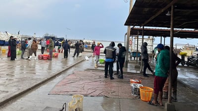 فتور في بيع السمك.. مرسى النقعة البصري يكاد يخلو من الصيادين