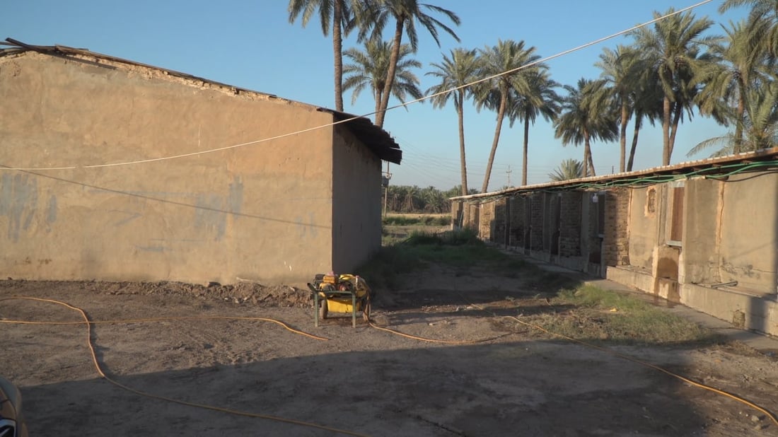 الكلف ارتفعت والضرائب زادت.. إغلاق أكثر من 900 مشروع دواجن في بابل