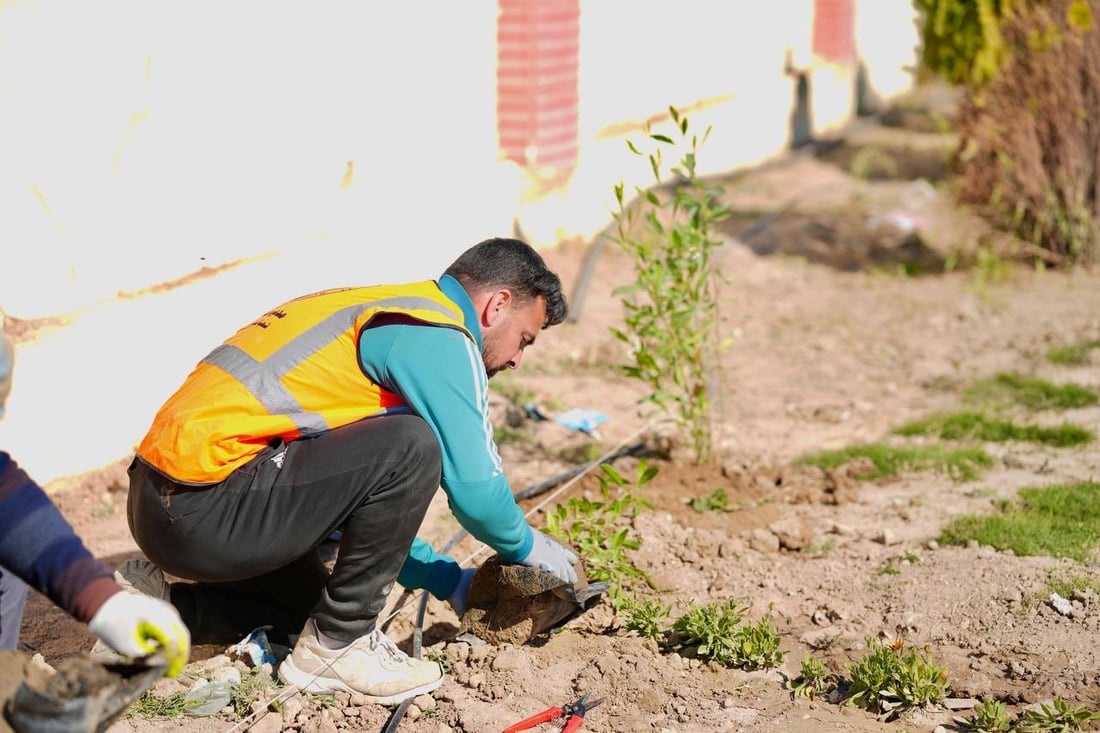 حملة التشجير الربيعية انطلقت.. صور من 8 مدن في الأنبار