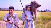 صور: صائد الخنازير في كربلاء لا يرحم.. لديه 4 خطط لصد اله