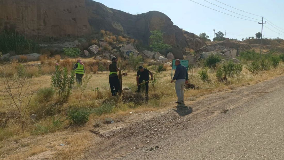 لە کەربەلاوە 150 دار خورمایان ھێنا و لە بەنداوی باوەشاسوار چاندیان