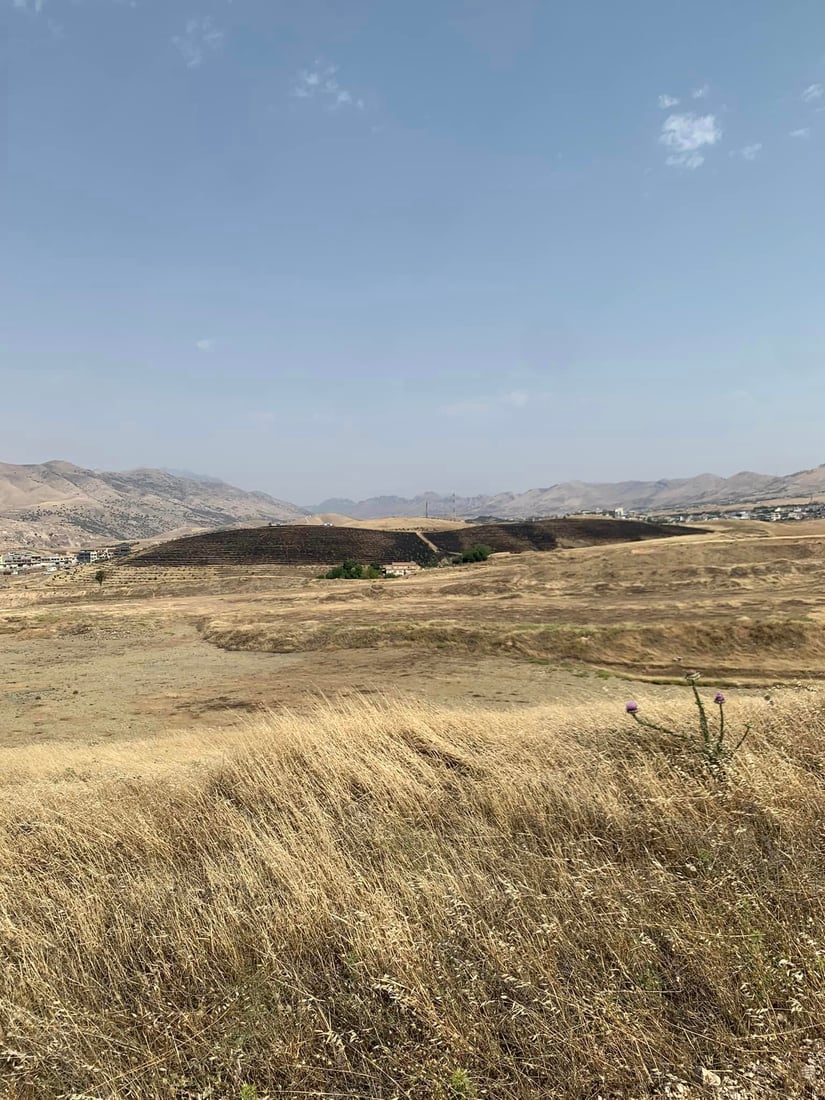 هەواری شار سەلامەتە، بەڵام باخچە رووەکییەکە هیچی وای نەماوەتەوە