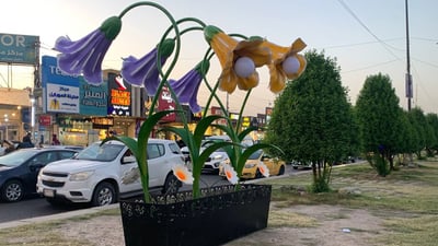 وردة أو شيء آخر جاء من الفلوجة وأشعل جدلاً في حي الجامعة.. والبلدية: رفقاً بنا