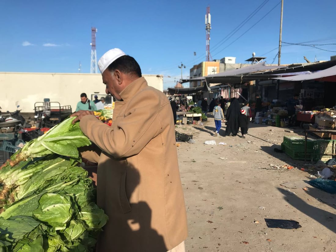 انخفاض كبير في سعر الخضروات.. طماطة الزبير لا تخضع للتعرفة الجمركية (صور)