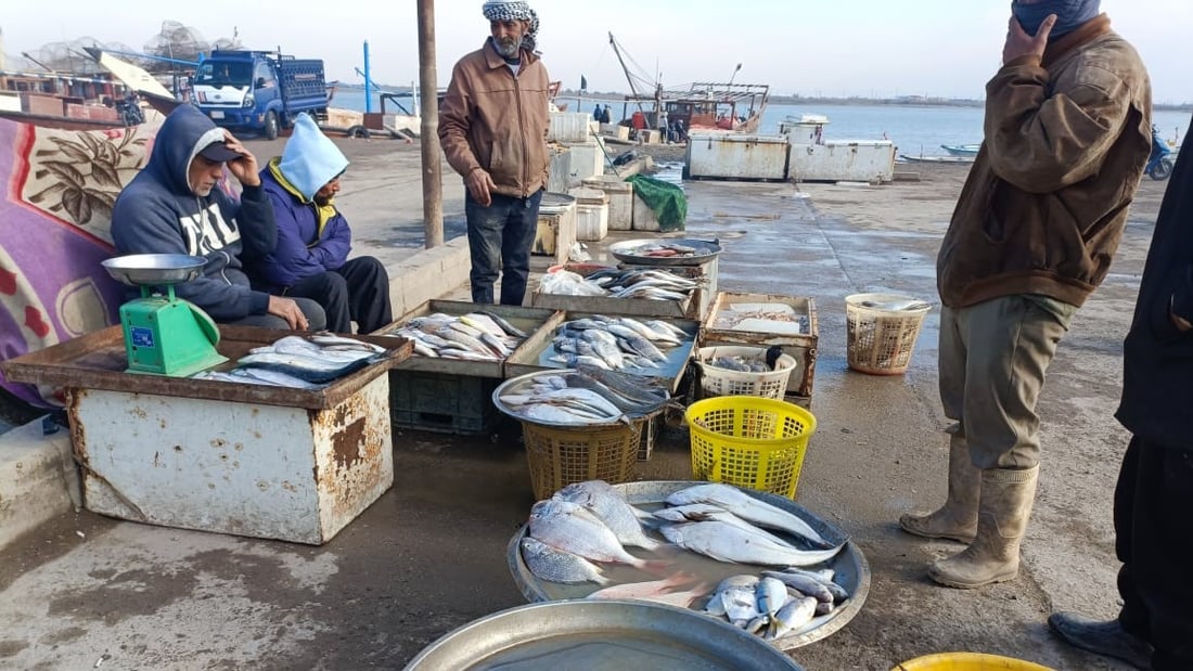 أمواج البحر العالية تمنع إبحار الصيادين مجدداً.. أسعار السمك في مزاد الفاو