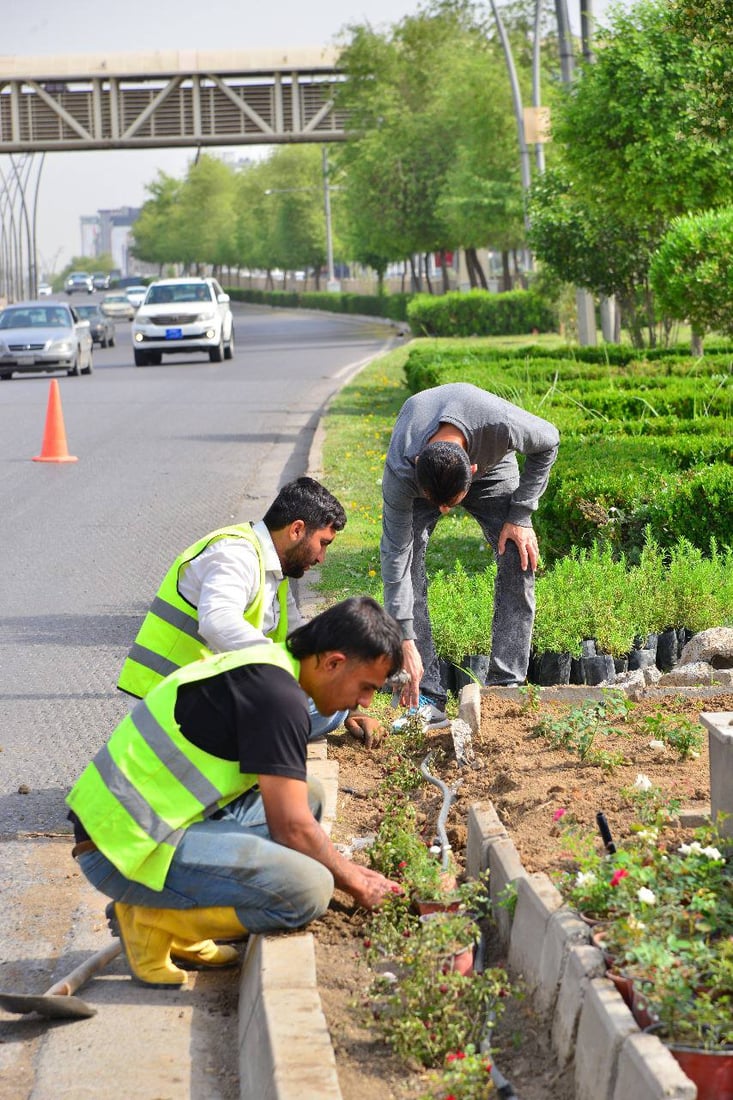 ژینگە سەوزکارەکان گوڵ لە شەقامی 100 مەتری هەولێر دەچێنن