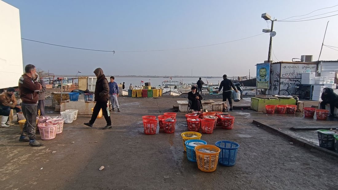 صور من مرسى النقعة: قائمة بأصناف الأسماك وأسعارها في مزاد الفاو الجمعة