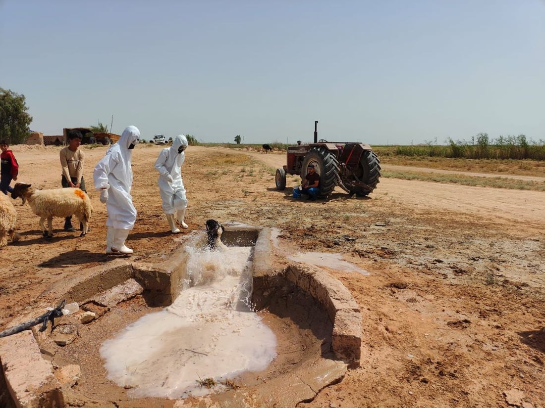 یه‌كه‌م حاڵه‌تى گیان له‌ده‌ستدان به‌هۆى تای خوێنبەربون له‌كه‌ركوك تۆمار كرا