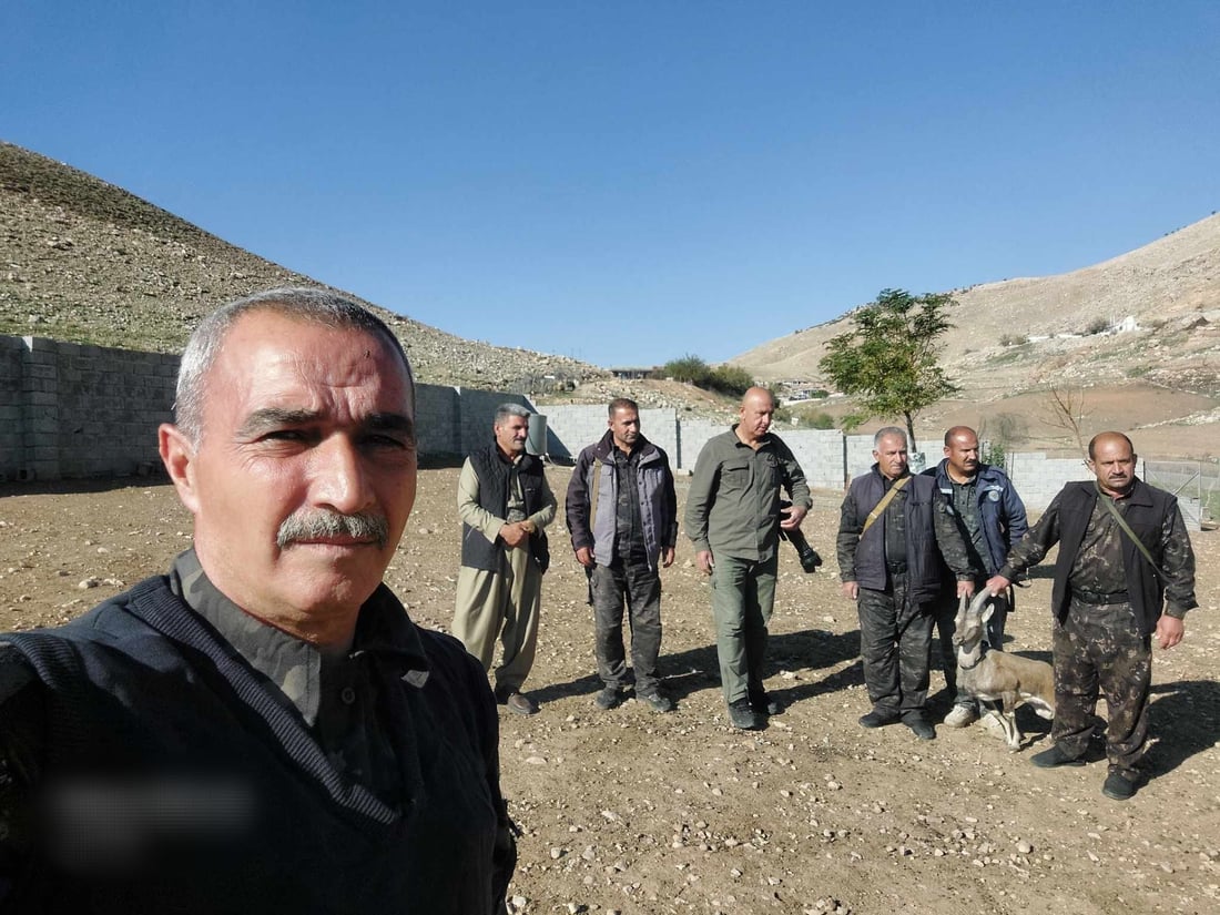 ئەو کەڵە کێوییەى رێى لێ هەڵە ببوو گەڕێندرایەوە ناو سروشت