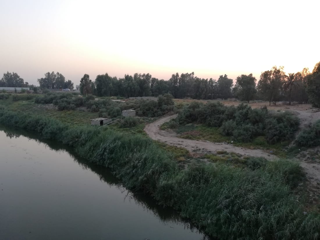 يجمع الخنازير والثعابين والعقارب.. صور من مبزل الولداية “المقلق” شرقي بغداد