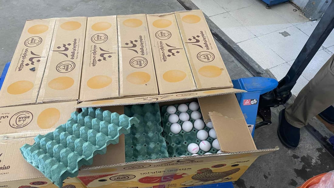 کۆگایەک هێلکەی خراپی دەفرۆشت بە 500 هەزار غەرامە کرا