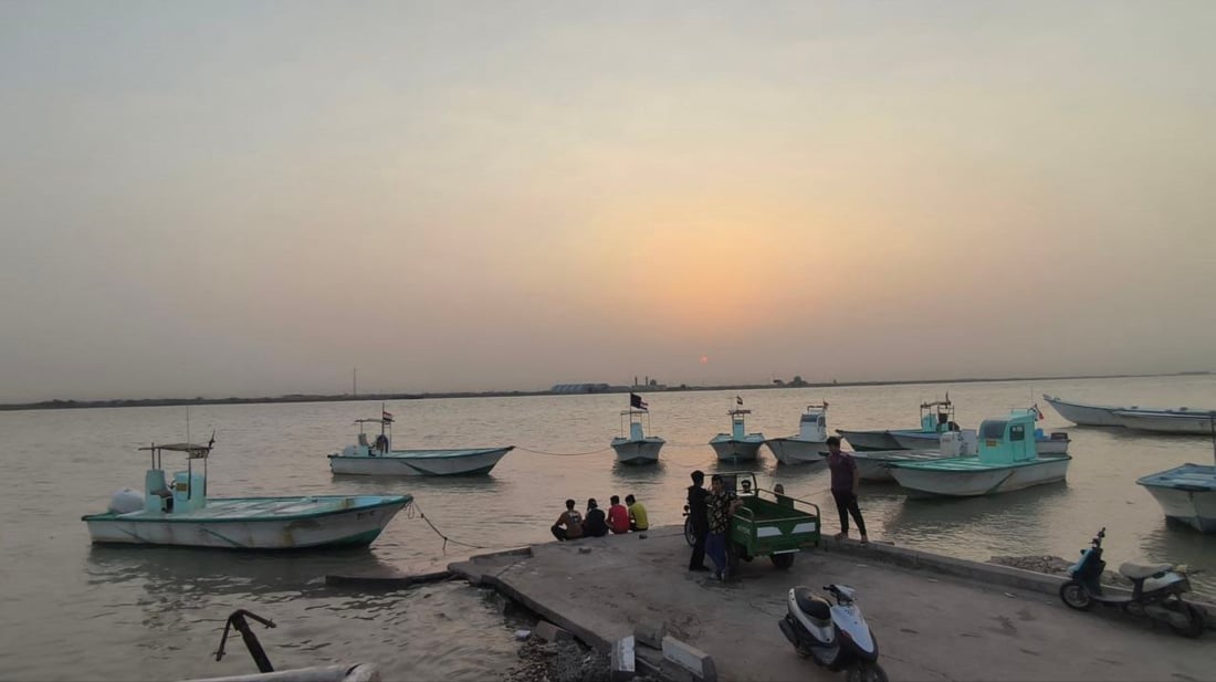 أكثر من 10 أطنان سمك في مرسى النقعة.. ذروة موسم النويبي والروبيان جامبو (صور)