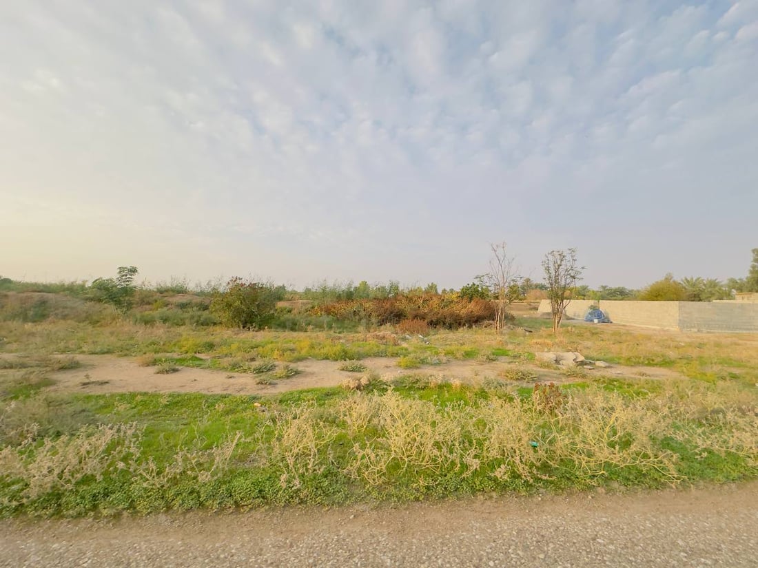 دەنگۆی فرۆشتنی چوار گوند لە خانەقین هەرای ناوەتەوە