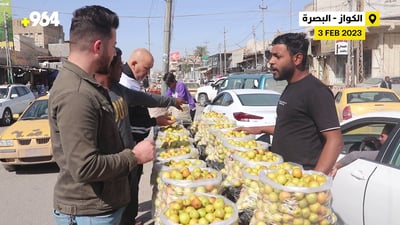 فيديو: “النبق” يغزو شوارع البصرة في موسمه المعتاد.. قائمة بالأسعار