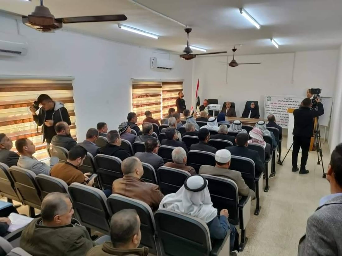 ازرعوا حقولكم بالذرة الصفراء فهي مربحة وتفيد التربة.. نصائح إلى مزارعي تلعفر