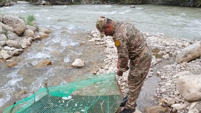 ئەو کەسەی تەڵەی بۆ ماسییەکانی رووباری وەرتێ دانابووەوە دەستگیر کرا