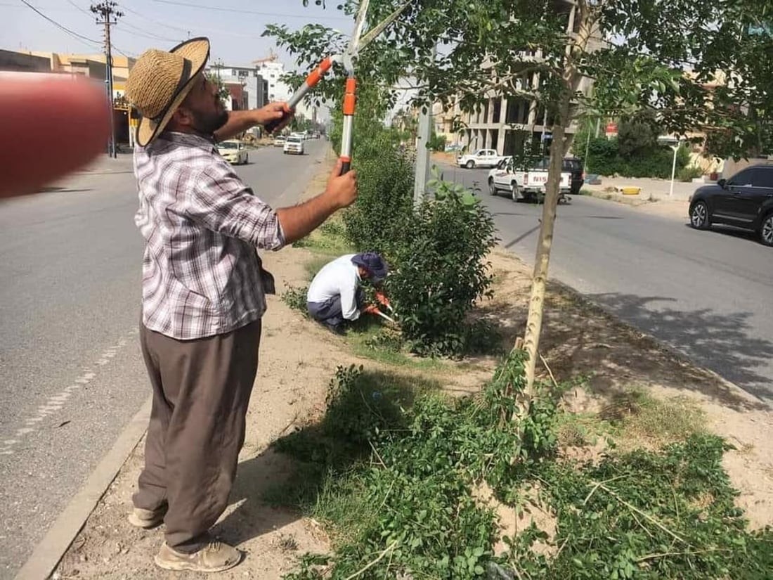   گوڵ و نەمامەكانی شەقامەكانی هەولێر هەڵپاچران